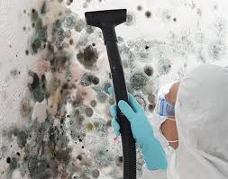 Best Mold Prevention Services  in Hunter, OH